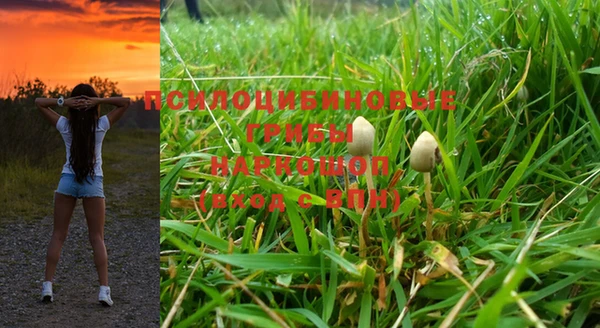 стафф Абдулино