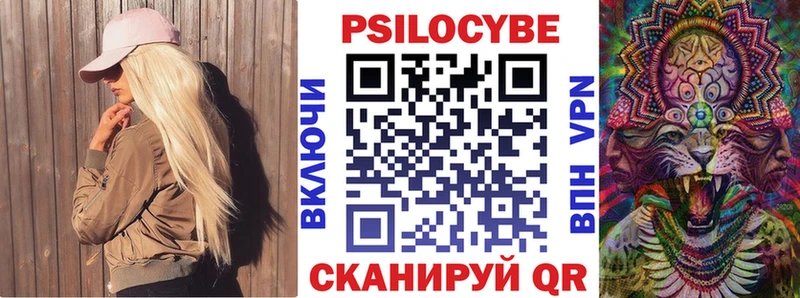 что такое   Казань  Псилоцибиновые грибы прущие грибы 