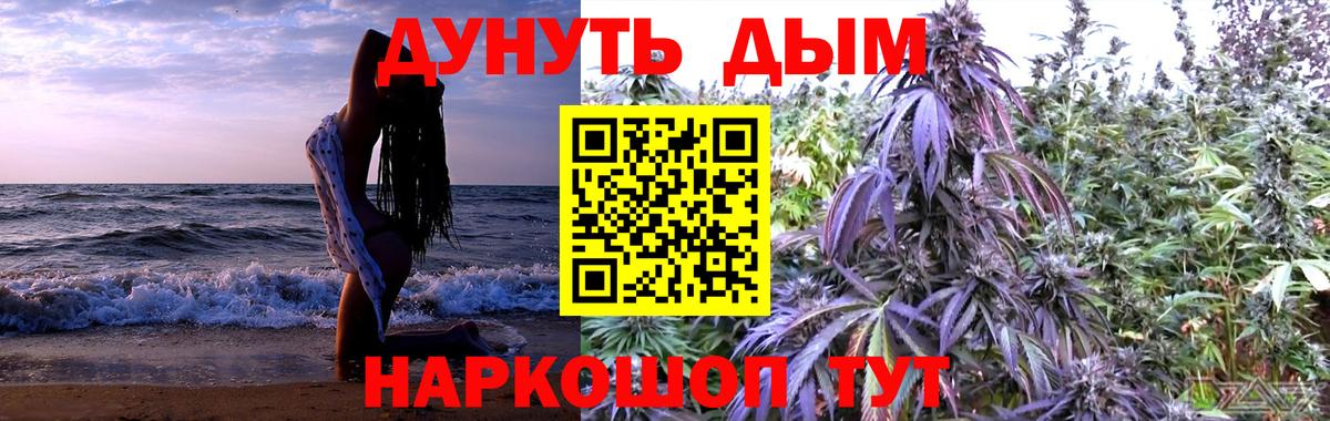 Каннабис планчик Казань